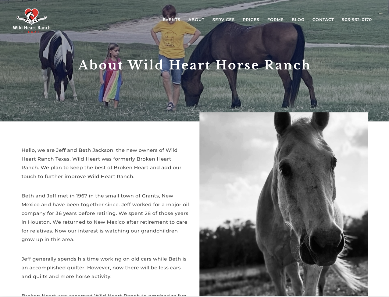 Wild Heart Ranch screenshot